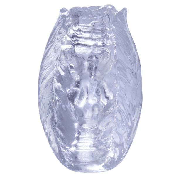 Excellent Power Pocket Jelly Masturbator 3.2" (Clear)