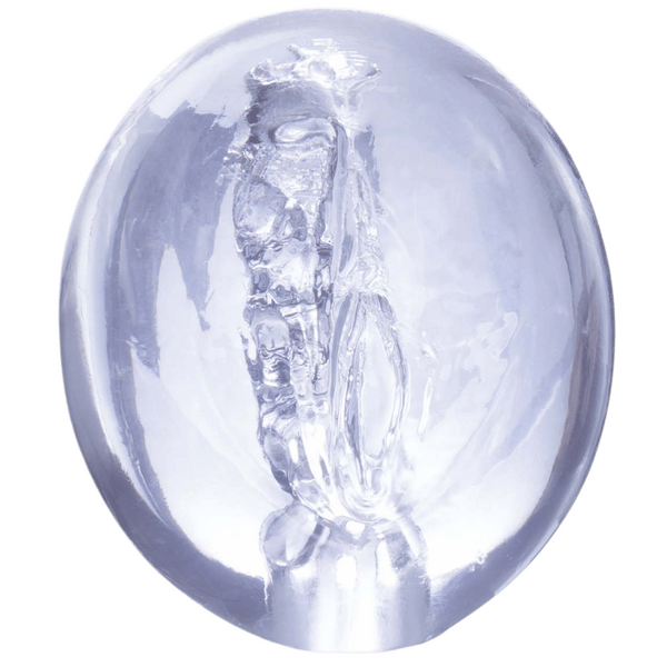 Excellent Power Pocket Jelly Masturbator 3.5" (Clear)