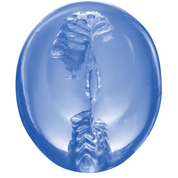 Excellent Power Pocket Jelly Masturbator 3.5" (Blue)