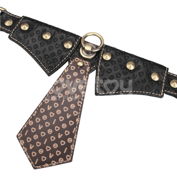 Lovetoy Rebellion Reign Collar & Leash