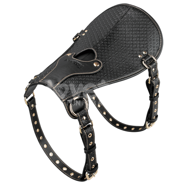 Lovetoy Rebellion Reign Dildo Saddle