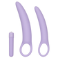 CALEXOTICS Dr. Laura Berman - Isabelle Set Of 2 Vibrating Silicone Dilators Set