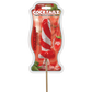 Hott Products | Cocktailz Strawberry Mojito Pecker Pop