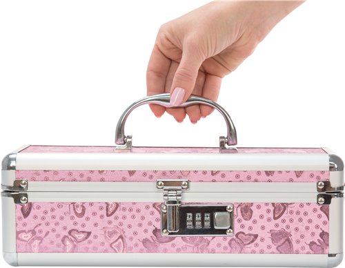 The Toy Chest - Small Lockable Vibrator Sex Toy Case Pink 30.5cm x 10cm x 10cm