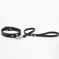Love In Leather Mini Leather Lead