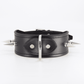 Love In Leather Unlined Wide Leather Collar With Long Dog Spikes