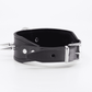 Love In Leather Unlined Wide Leather Collar With Long Dog Spikes