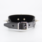 Love In Leather Unlined Wide Leather Collar With Long Dog Spikes