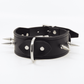Love In Leather Unlined Wide Leather Collar With Long Dog Spikes