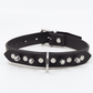 Love In Leather Unlined Leather Collar With Short Dog Spikes