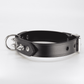 Love In Leather Unlined Leather Collar With Short Dog Spikes