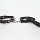 Love In Leather Unlined Leather Collar With Short Dog Spikes