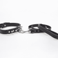 Love In Leather Long Leather Lead