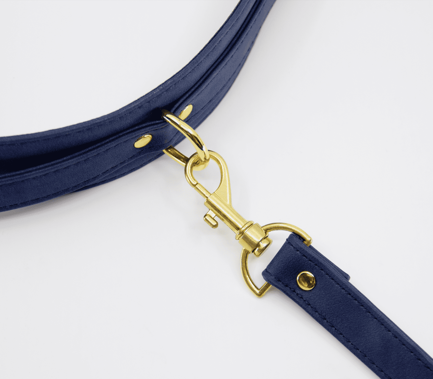 Love In Leather Faux Leather Collar & Lead Set with Gold Tone Metal Hardware
