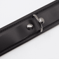 Love In Leather Leather Collar With Coloured Hardware