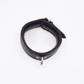Love In Leather Leather Collar With Coloured Hardware