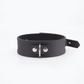 Love In Leather Silicone Collar & Lead Set