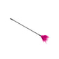 Love In Leather Plastic Crop with Feather Tickler CRO001