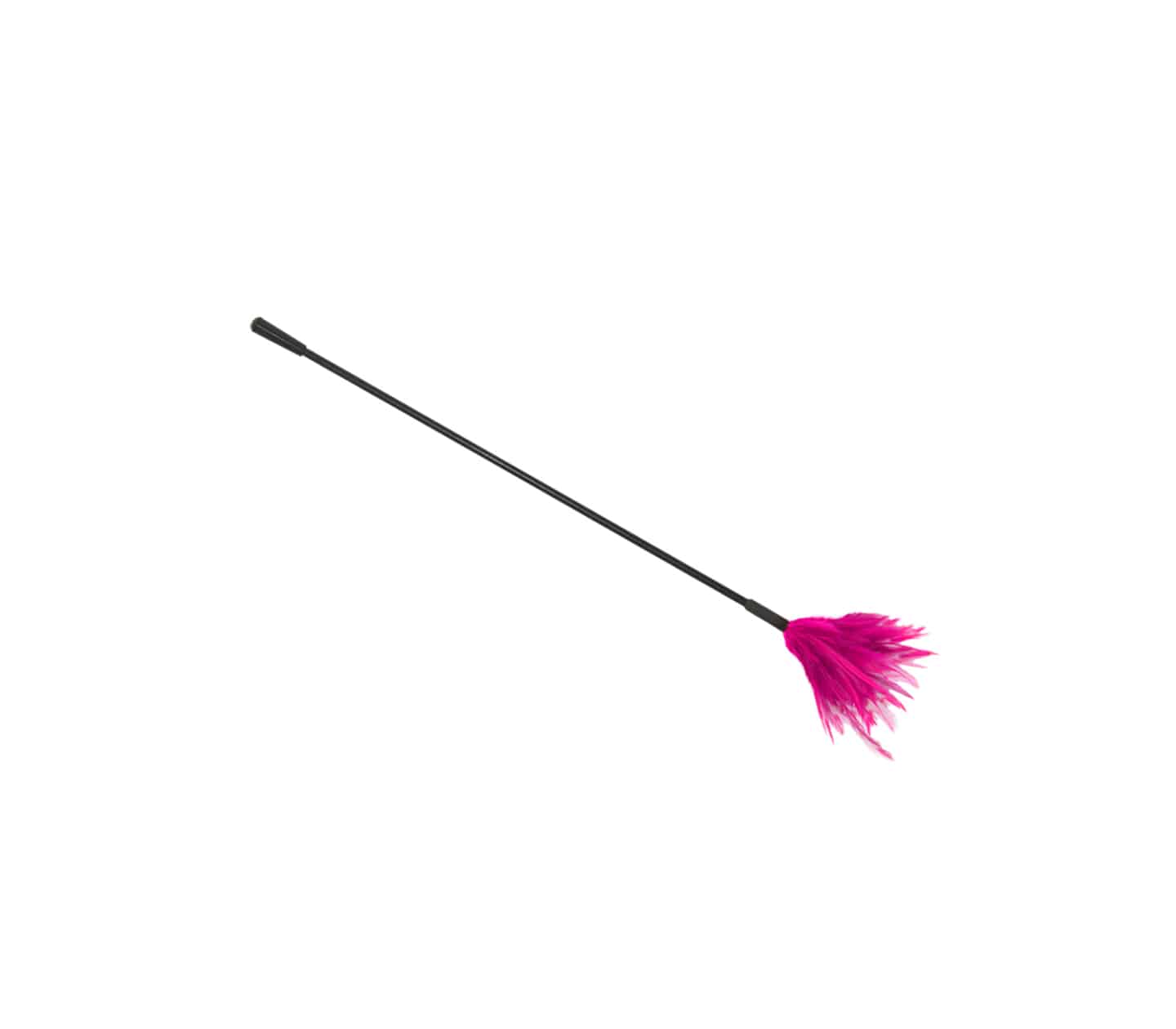 Love In Leather Plastic Crop with Feather Tickler CRO001