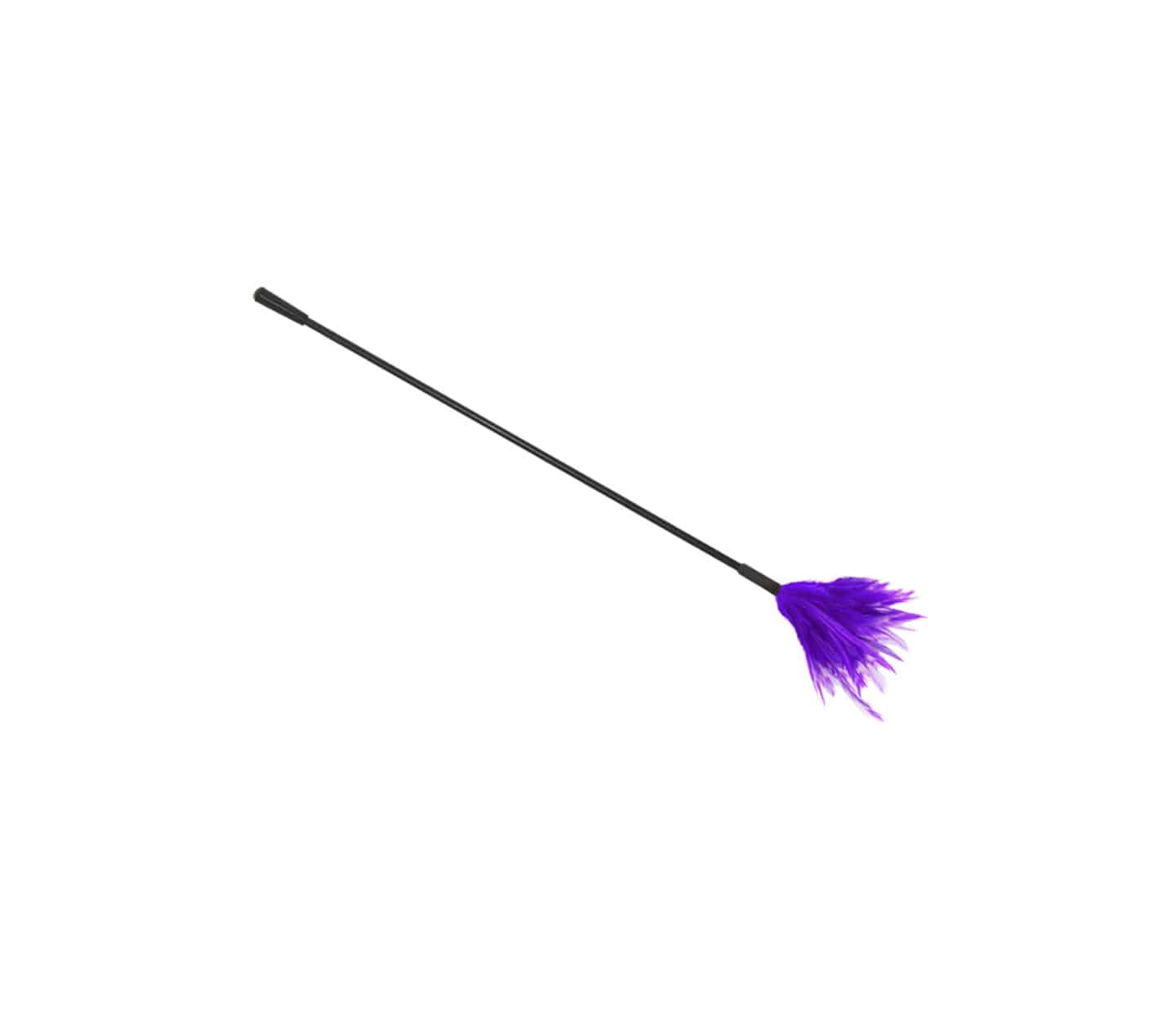 Love In Leather Plastic Crop with Feather Tickler CRO001
