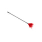 Love In Leather Plastic Crop with Feather Tickler CRO001