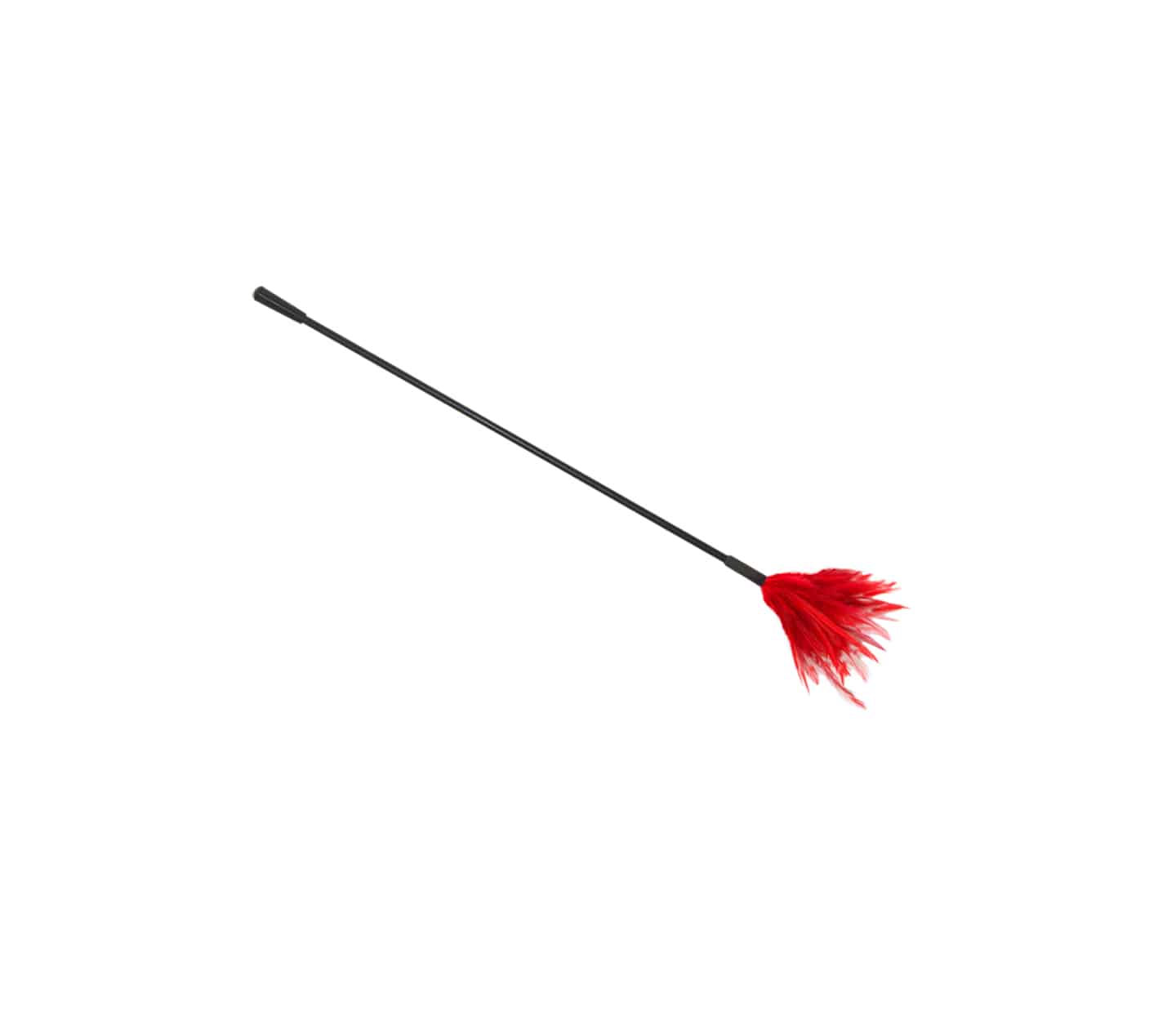 Love In Leather Plastic Crop with Feather Tickler CRO001