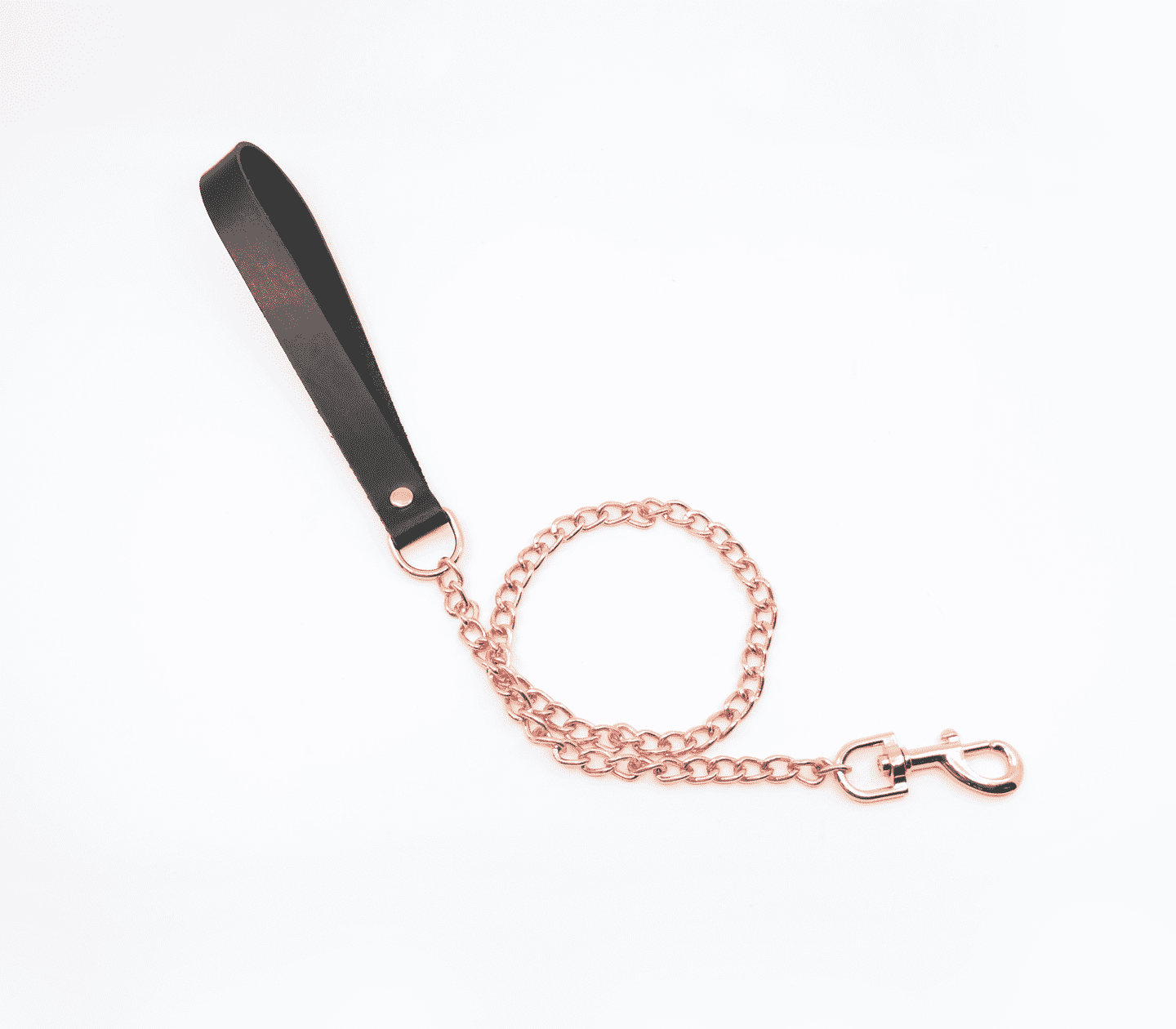 Love In Leather Leather & Chain Lead