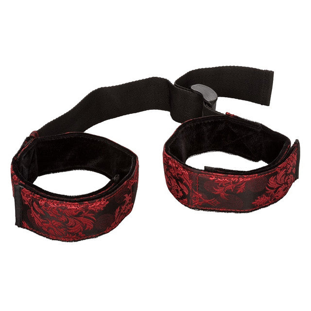 Calexotics Scandal Bicep Restraint