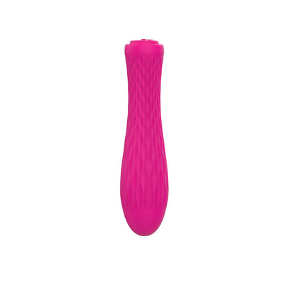 Nalone Ian Massage Bullet Vibrator
