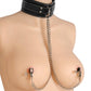 Master Series Coveted Collar And Clamp Union Nipple Clamps