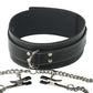 Master Series Coveted Collar And Clamp Union Nipple Clamps