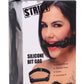 Strict Silicone Bit Gag