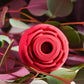 Adam & Eve | Eve's Ravishing Rose Clit Pleaser